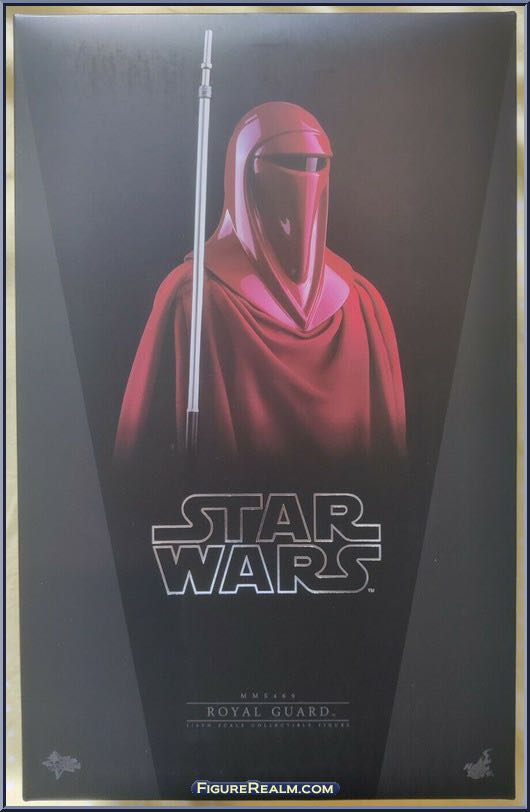 Royal Guard - Hot Toys (Star Wars - Hot Toys) action figure collectible - Main Image 2