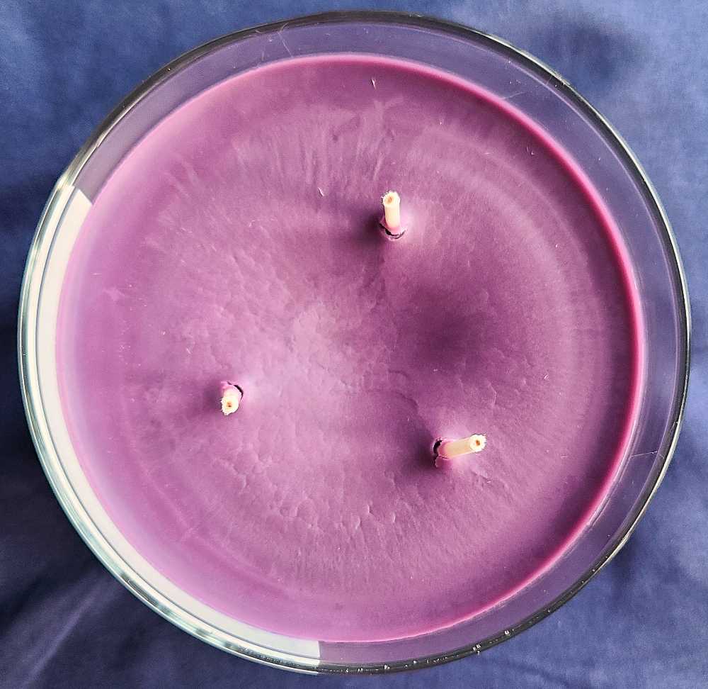 CANDLE: Halloween Bath & Bodyworks Ghoul Friend 2023 - Bath & Bodyworks Candle (Halloween Candles) action figure collectible [Barcode 667558547458] - Main Image 3