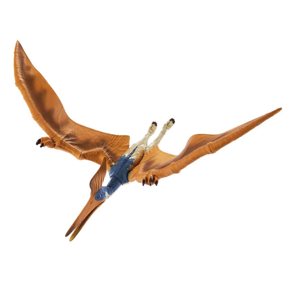 Image 243336