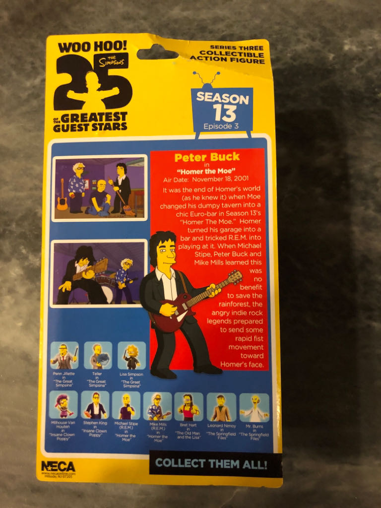 Peter Buck REM - Neca (Simpsons 25 Th Guest Stars) action figure collectible [Barcode 634482160527] - Main Image 2