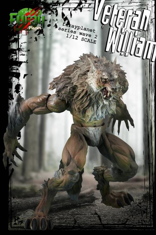 Furay Planet: Veteran William - Maestro Union (FuRay Planet) action figure collectible - Main Image 3