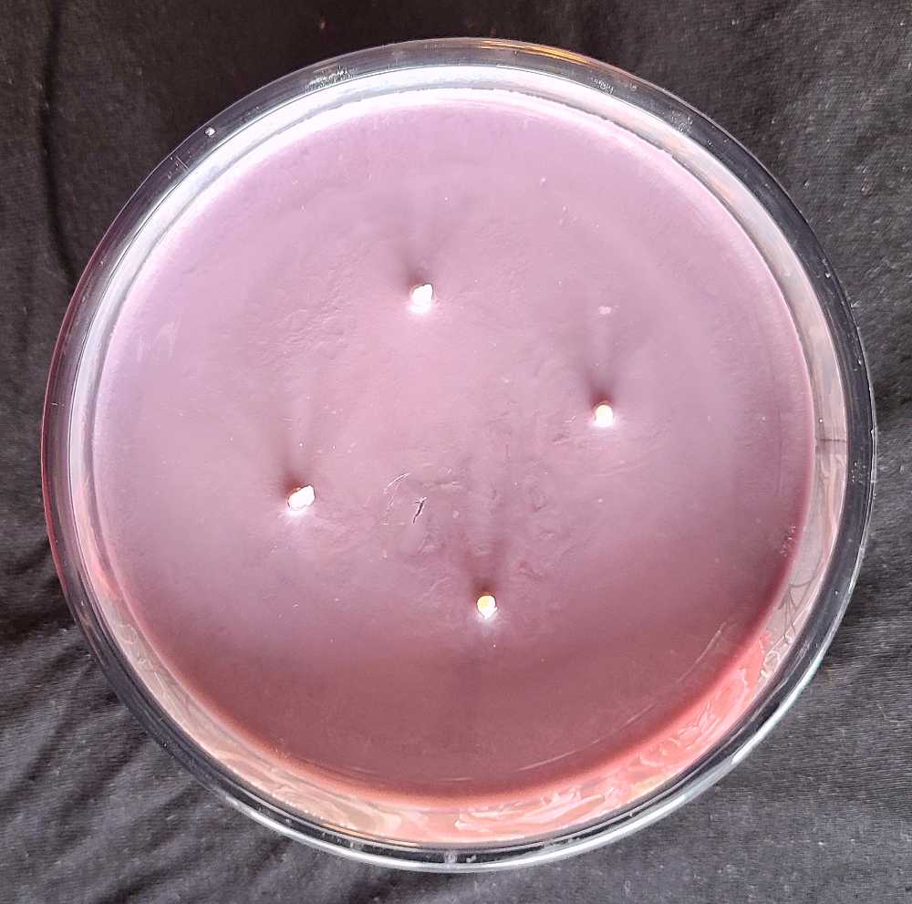 CANDLE: Halloween HomeWorx Black Widow Bouquet 2023 - Homeworx (Halloween Candle) action figure collectible [Barcode 810124380281] - Main Image 4