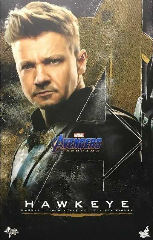 Avengers: Endgame - Hot Toys (Hawkeye (Deluxe Version)) action figure collectible - Main Image 3