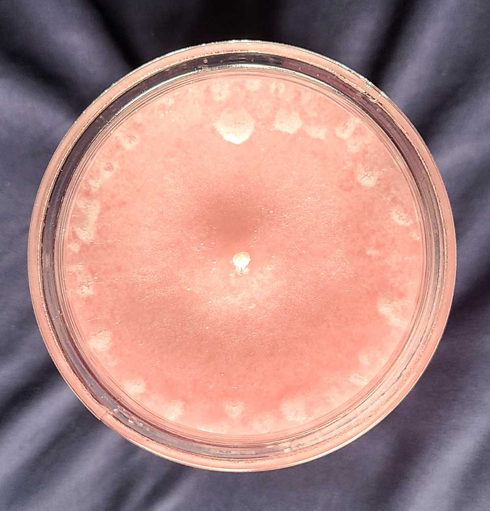 CANDLE: Easter Yankee Fluffy Bunny Tails 2021 UK - Yankee Candle (Easter Candles) action figure collectible [Barcode 5038581148090] - Main Image 3