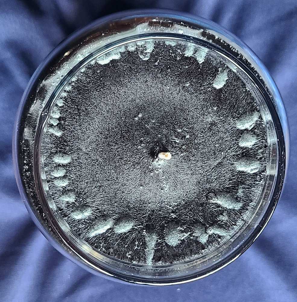 CANDLE: Halloween Yankee Witch’s Brew 2023 Jar - Yankee Candle (Halloween Candles) action figure collectible [Barcode 192833274182] - Main Image 3