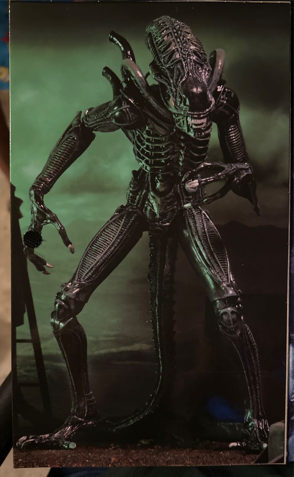 Aliens - Blue Warrior - NECA - Alien (Aliens) action figure collectible [Barcode 634482516478] - Main Image 3