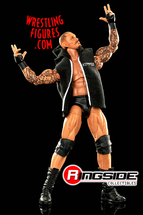 Randy Orton - Mattel Wwe (WWE Ultimate Edition 18) action figure collectible - Main Image 2