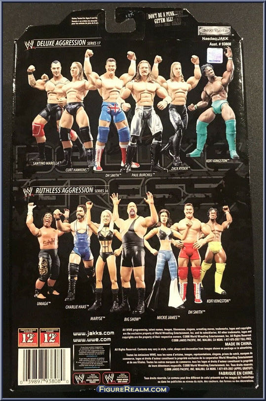 DH Smith - Jakks Pacific (WWE Deluxe Aggression Series 17) action figure collectible - Main Image 2