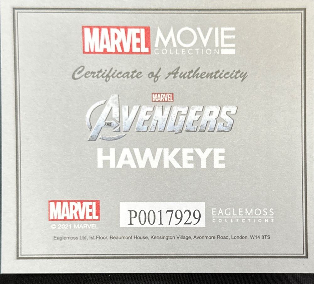 Hawkeye - Jeremy Renner (Avengers Assemble) action figure collectible - Main Image 3