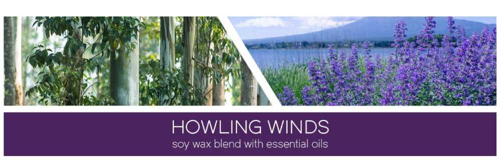 CANDLE: Halloween Goose Creek Howling Winds  2023 - Goose Creek Candle (Halloween Candles) action figure collectible - Main Image 4