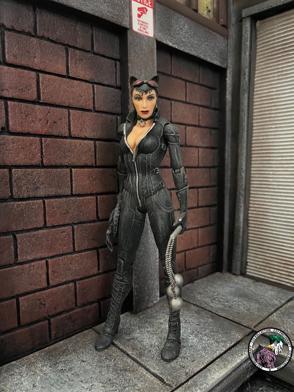 DC Direct (2012) (231x03) Catwoman - DC Direct (Batman: Arkham City) action figure collectible - Main Image 1