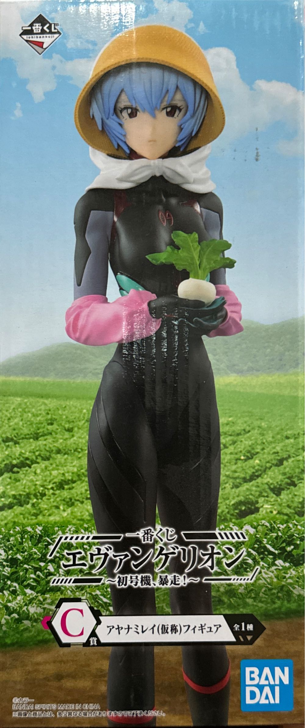 10th Legion "Flying Cavalry” Type B