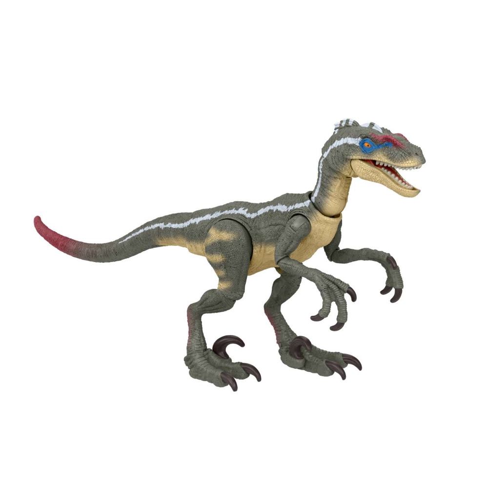Image 254743