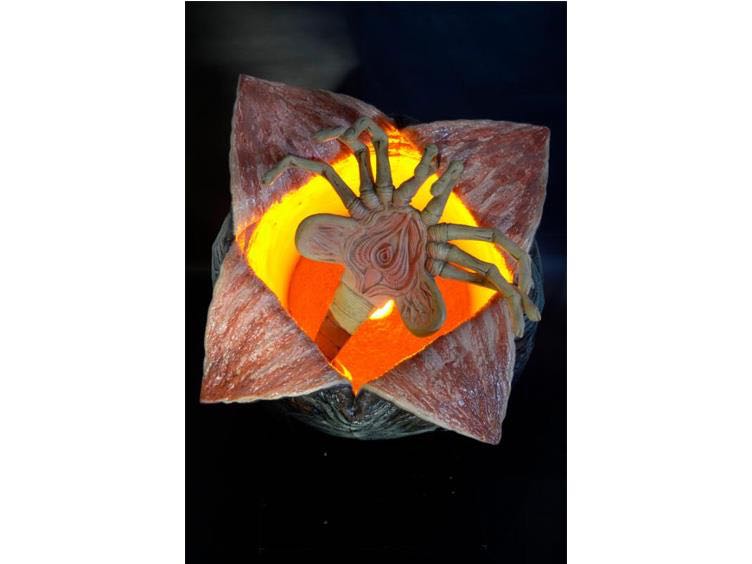 Aliens Life Size Egg & Facehugger Foam & Latex Prop Replica - NECA - Alien (Alien) action figure collectible - Main Image 3