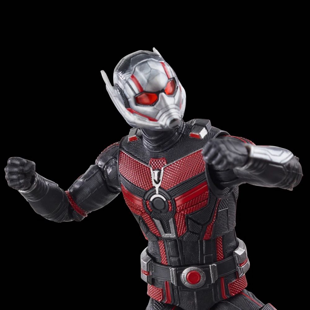 Ant Man: Quantumania Ant Man - Hasbro (Marvel Legends) action figure collectible - Main Image 2