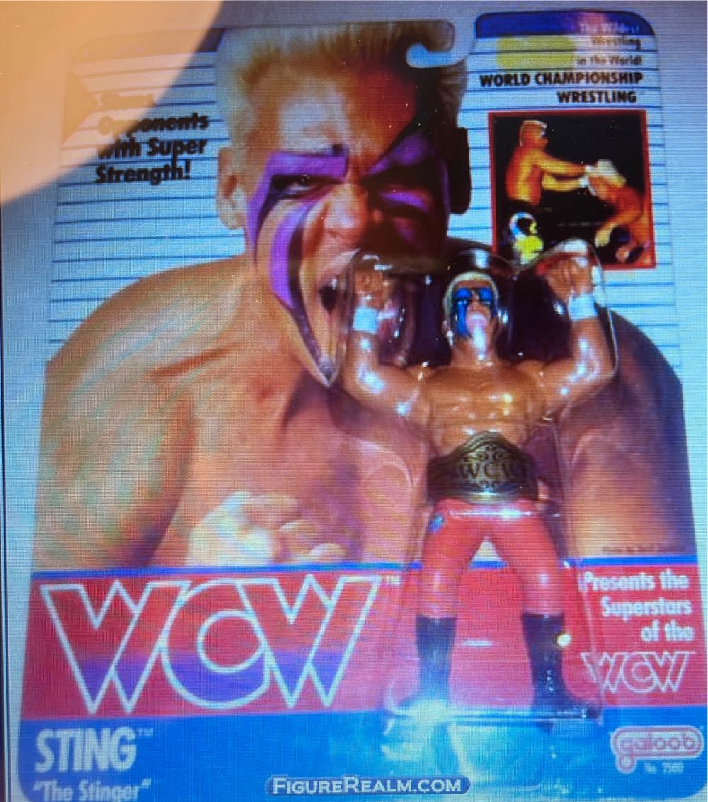 Sunken Citadel Pirate