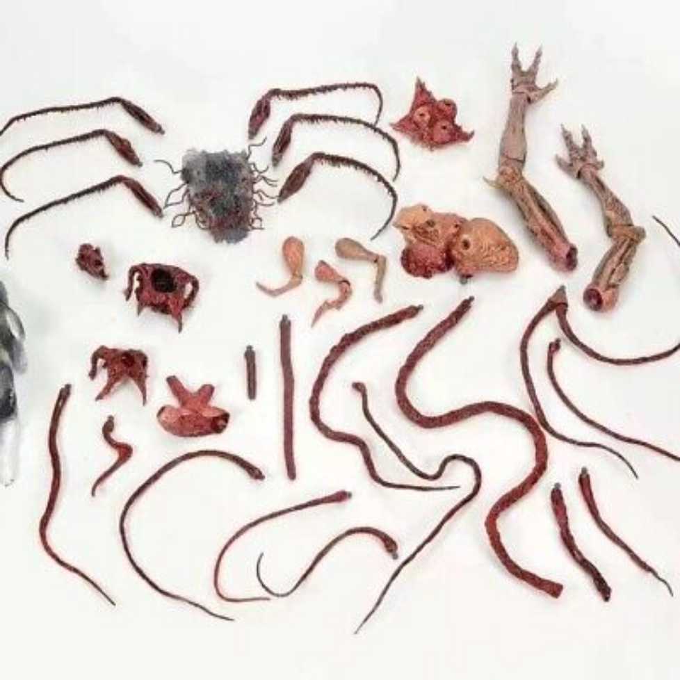 Neca - Ultimate Dog Creature (The Thing) - Neca Toys (The Thing (1982)) action figure collectible [Barcode 634482049051] - Main Image 3