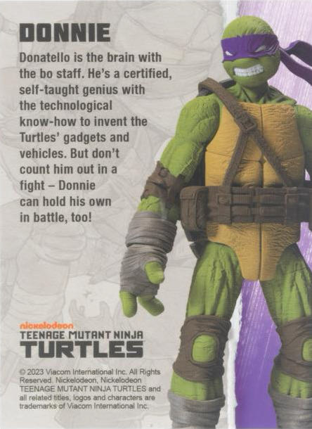 Teenage Mutant Ninja Turtles BST AXN Comic Heroes Donatello  action figure collectible - Main Image 2