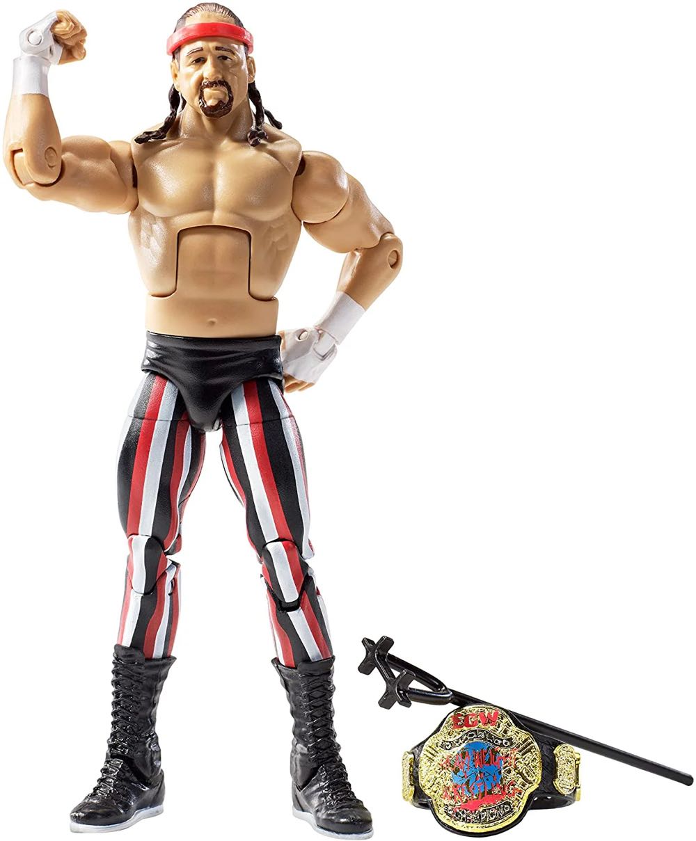 Terry Funk - Mattel (Mattel Elite Collection) action figure collectible - Main Image 4