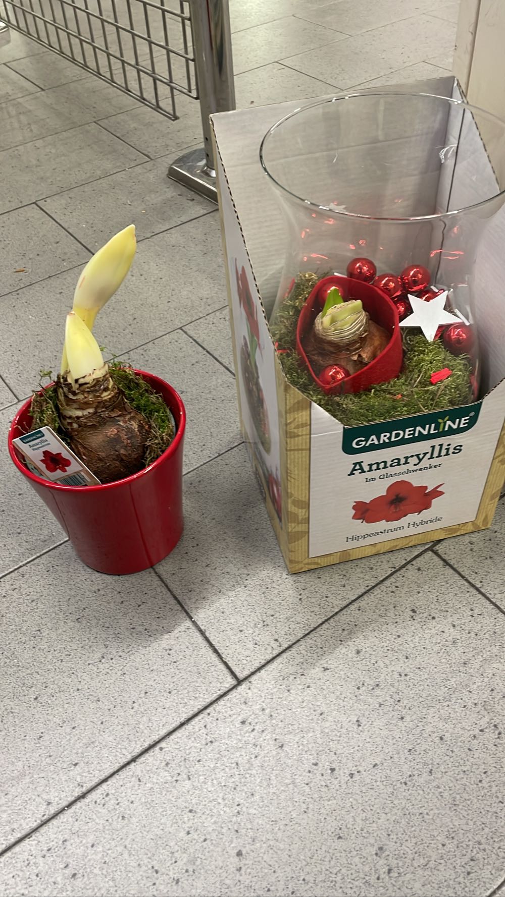 Sylvanian Families Doll Furniture Set Calico Critters Exploration Cat Latte Ko 76 Siblings Doki Siblings’ Family Dokidoki Rateneko Japan Brothers Brother Psl Epoch