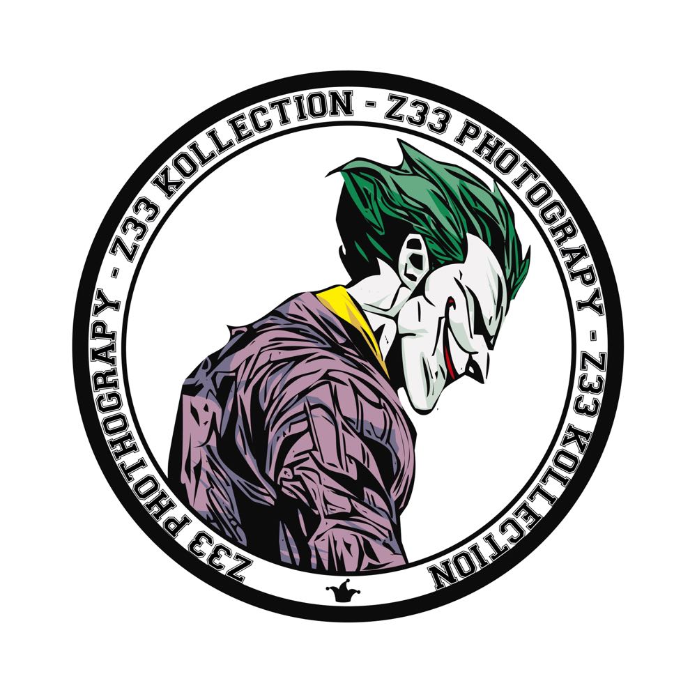 The Noble Collection Fantastic Beasts Magical Creatures: No.6 Thunderbird