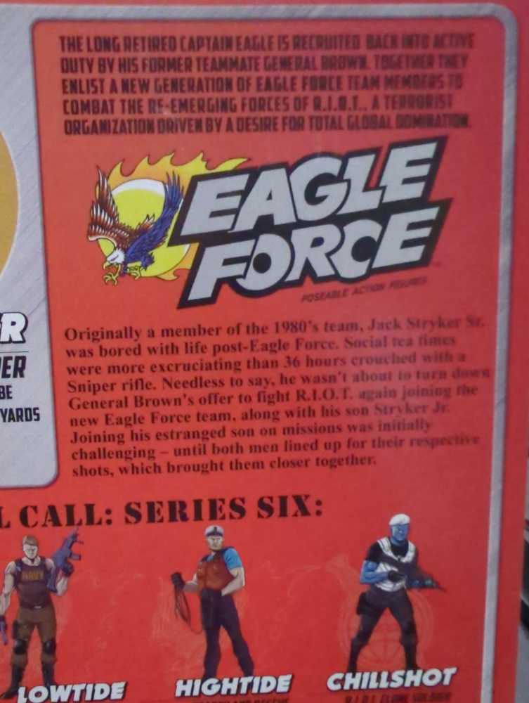 Stryker Sr.: Sniper - Fresh Monkey Fiction (Eagle Force) action figure collectible [Barcode 658580014056] - Main Image 4