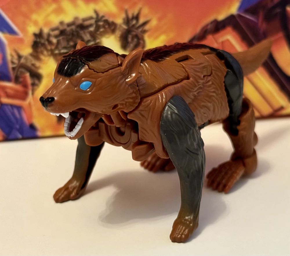 Legacy Core Class: United Tasmania Kid - Hasbro (Transformers Legacy) action figure collectible [Barcode 5010996195104] - Main Image 2