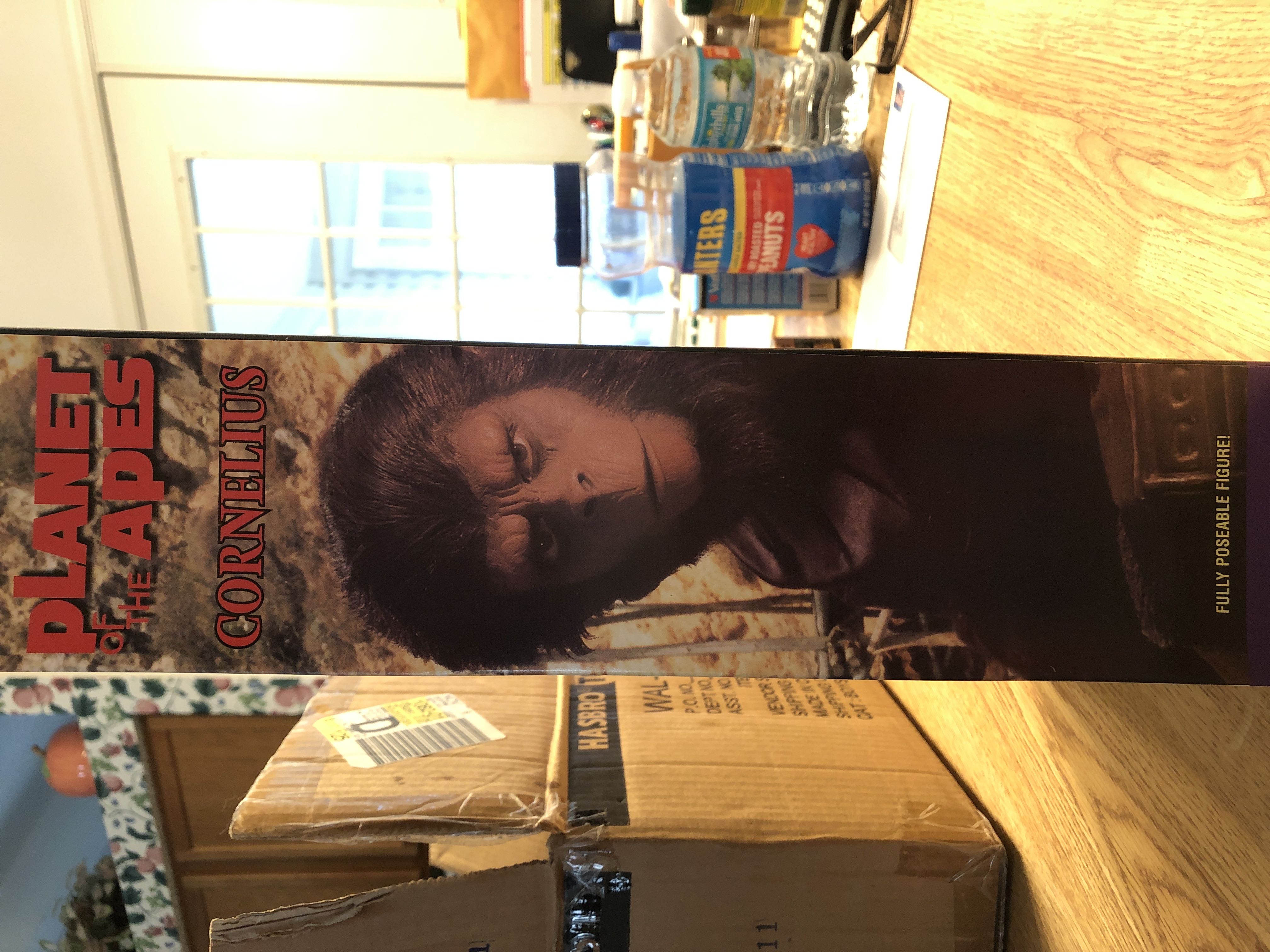 Planet Of The Apes: Cornelius - Hasbro (Planet Of The Apes) action figure collectible [Barcode 076281709604] - Main Image 3