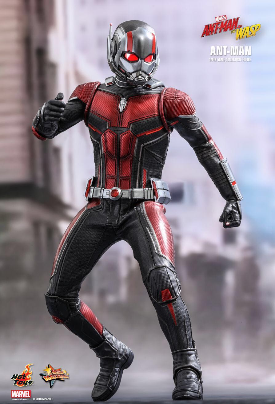 Hot Toys MMS497 - Ant-Man (Ant-Man And The Wasp) - Hot Toys Limited (Ant-Man And The Wasp) action figure collectible - Main Image 2