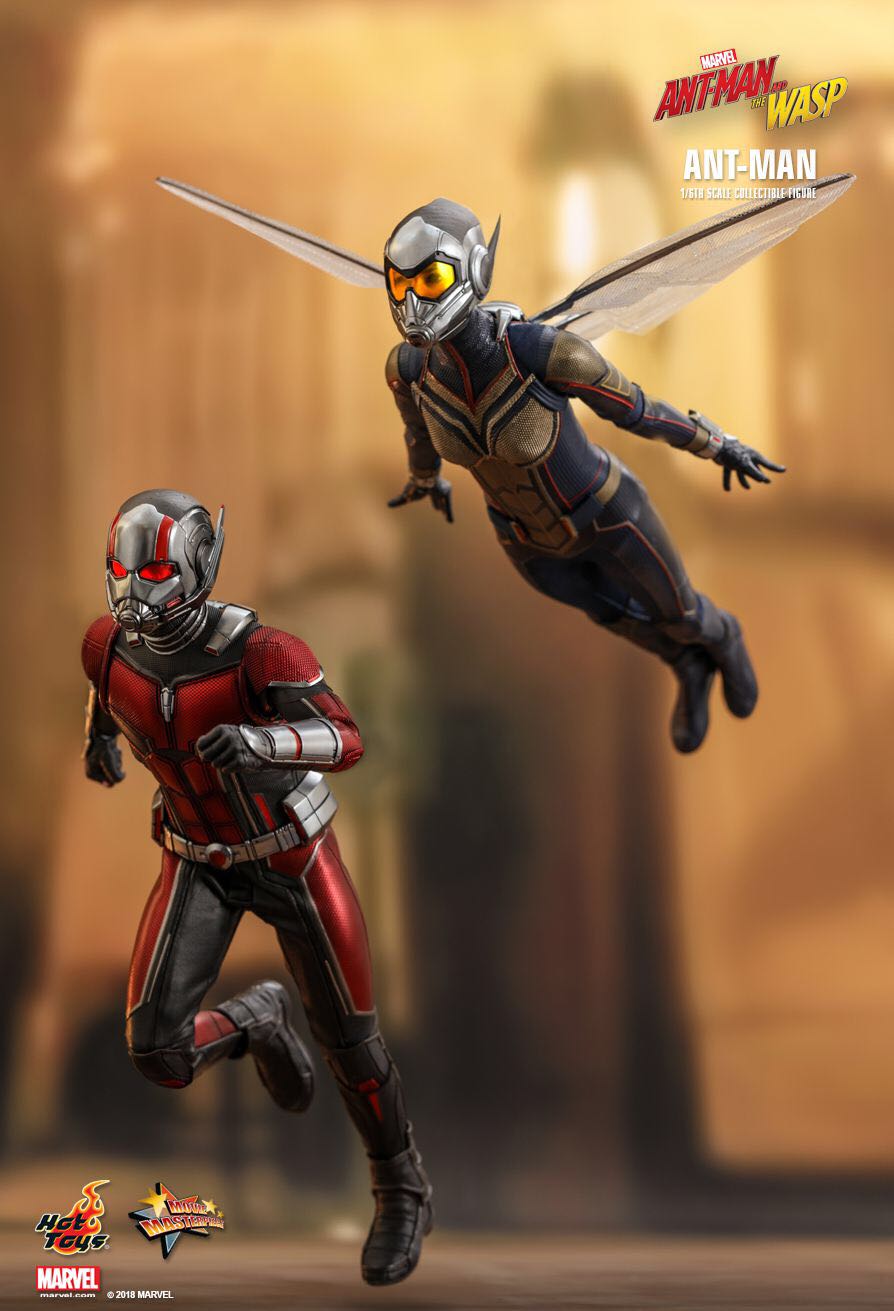 Hot Toys MMS497 - Ant-Man (Ant-Man And The Wasp) - Hot Toys Limited (Ant-Man And The Wasp) action figure collectible - Main Image 3