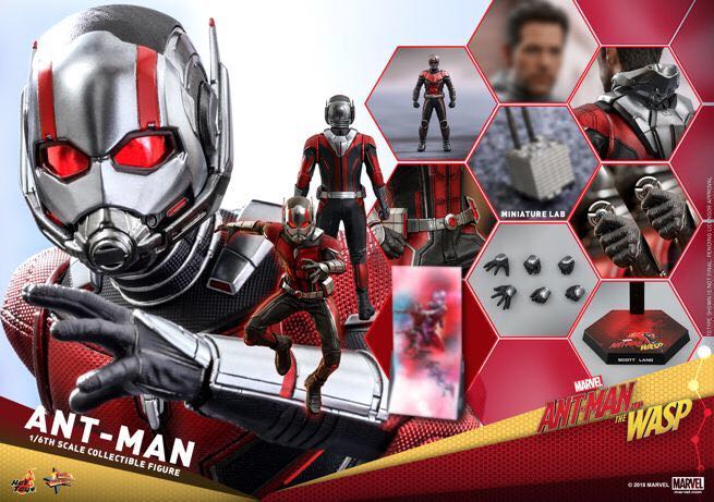 Hot Toys MMS497 - Ant-Man (Ant-Man And The Wasp) - Hot Toys Limited (Ant-Man And The Wasp) action figure collectible - Main Image 4