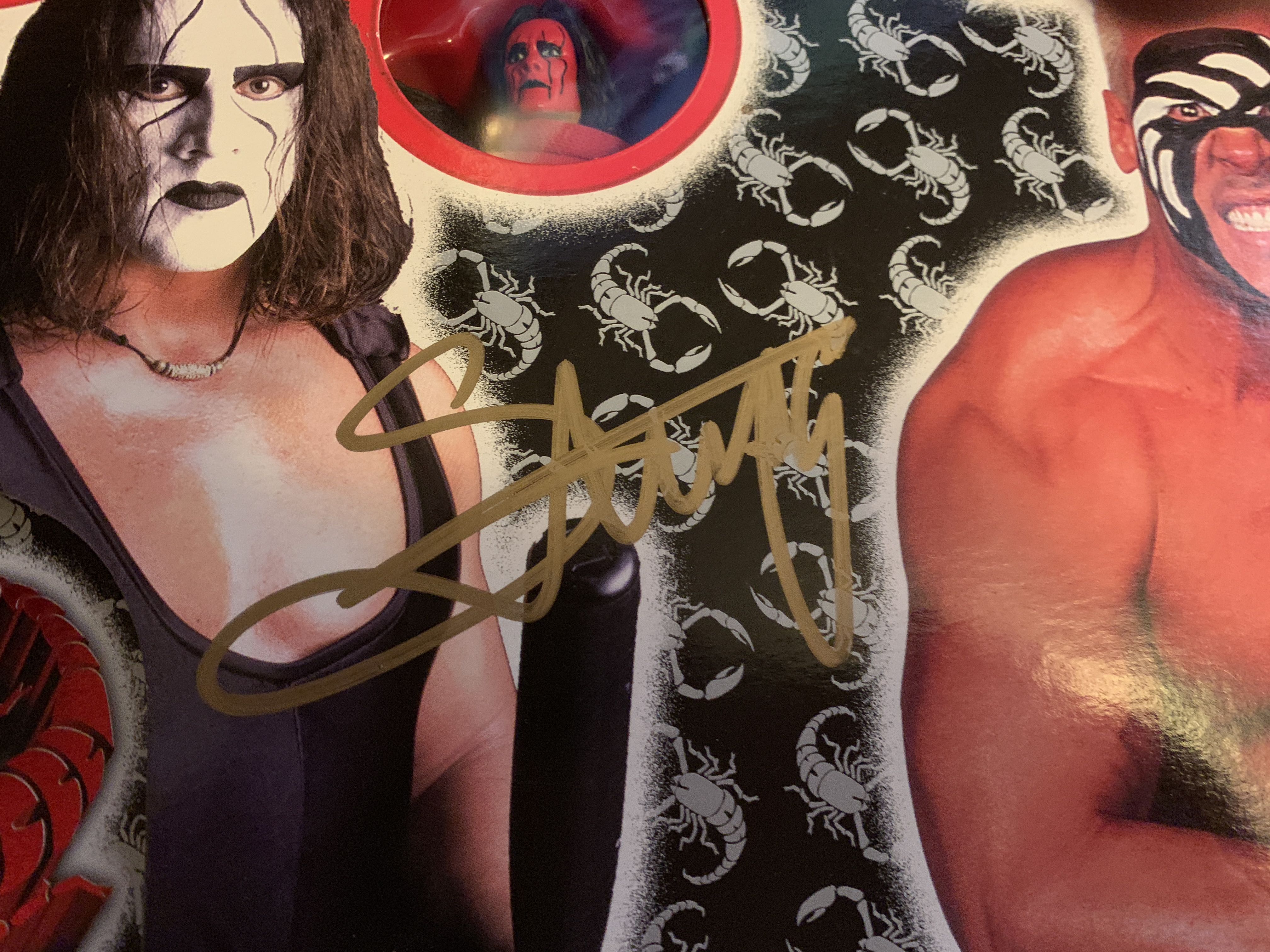 Wcw Evolution Of Sting - Toybiz (WCW Wrestling) action figure collectible [Barcode 035112775850] - Main Image 3