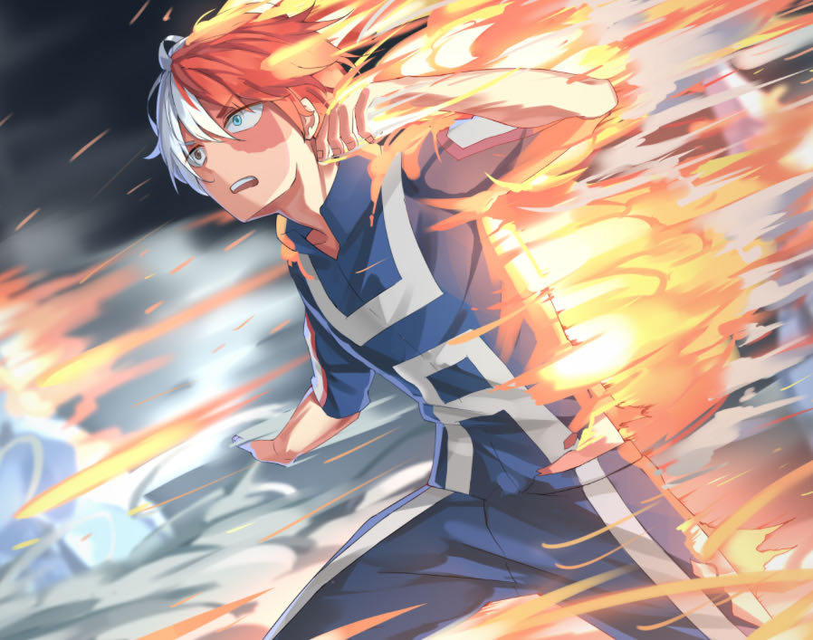 My Hero Academia (Todoroki)  action figure collectible - Main Image 4