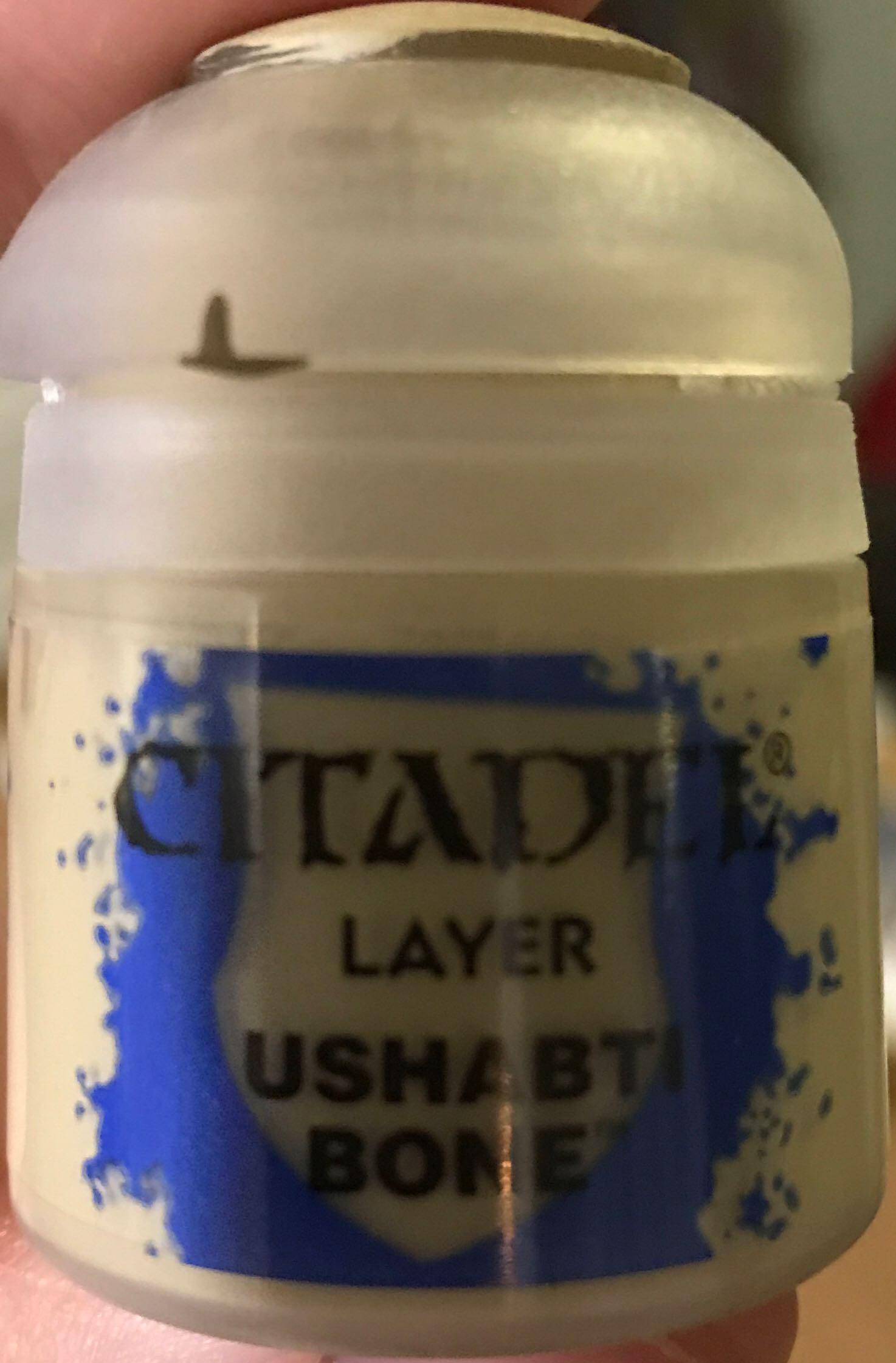 WWE: John Cena & Nikki Bella