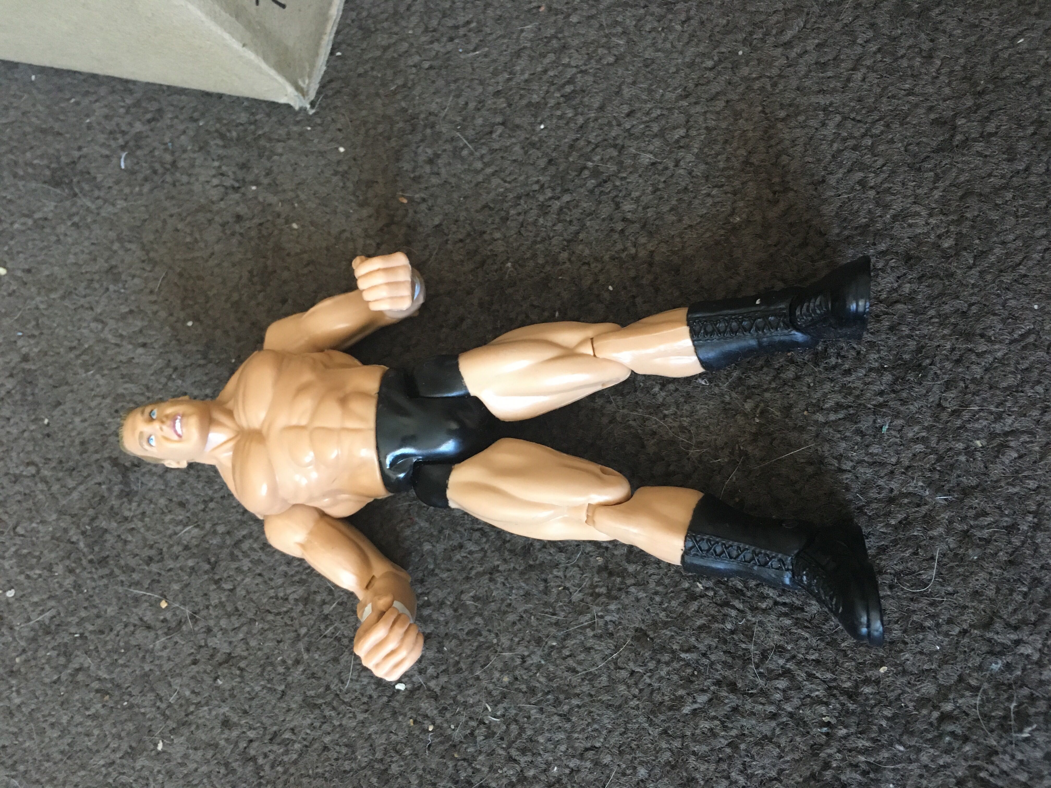 Brock Lesnar  action figure collectible - Main Image 1