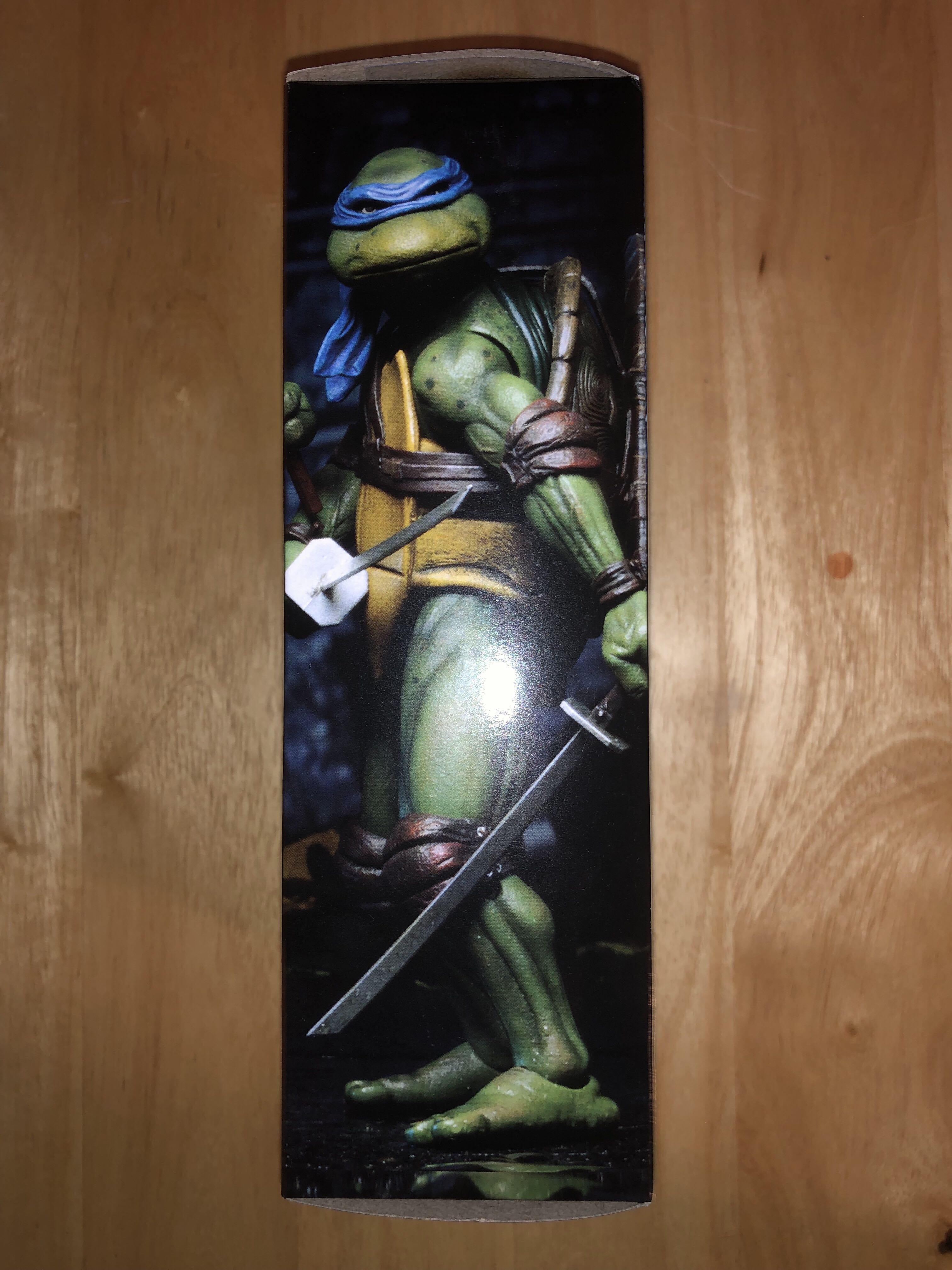 Leonardo - NECA (National Entertainment Collectibles Association, Inc.) (Teenage Mutant Ninja Turtles Movie) action figure collectible [Barcode 634482540732] - Main Image 4