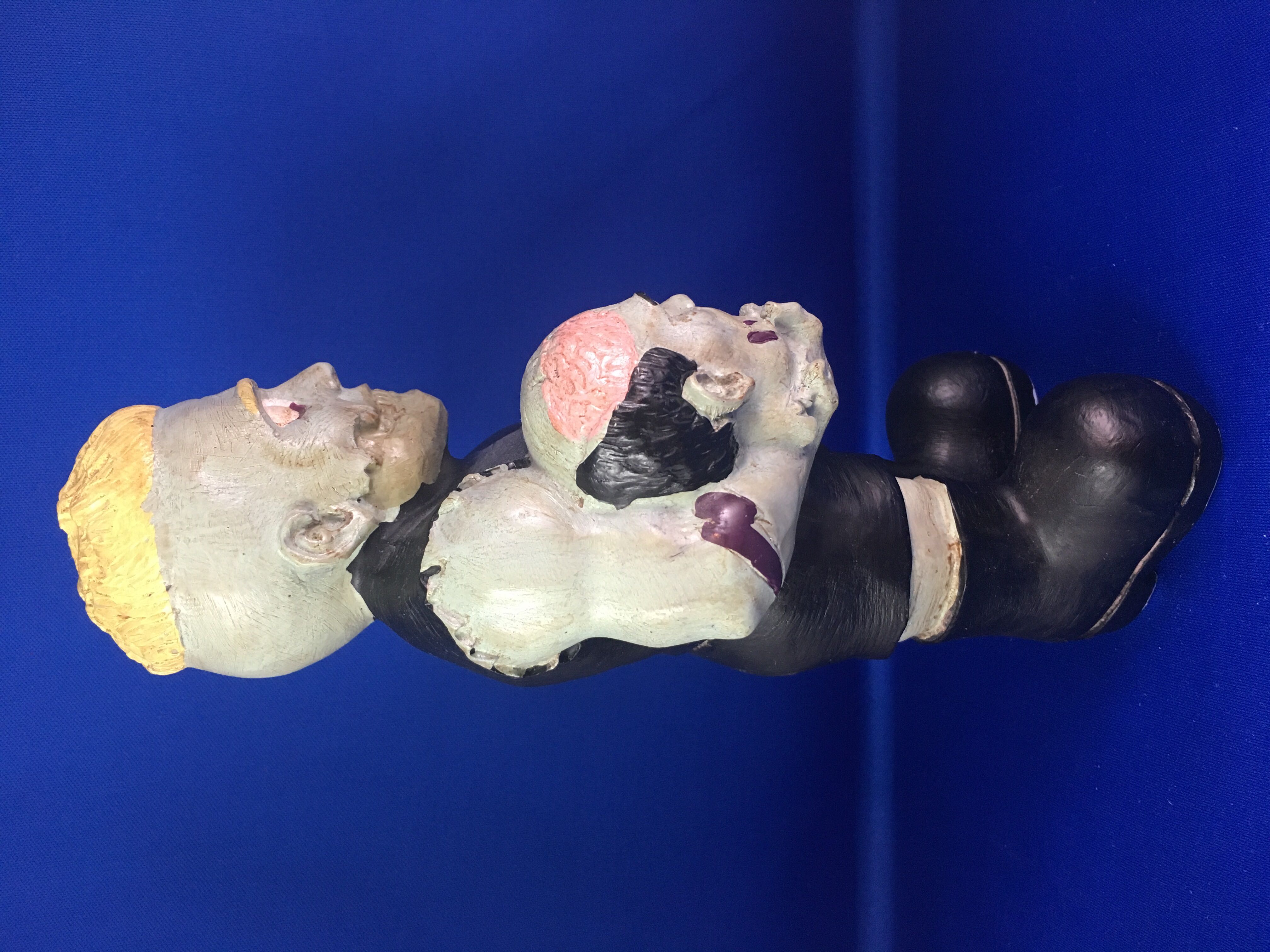 WWE Brock Lesnar Collectible Zombie Figure - Forever Collectables (WWE Collectible Zombie Figure) action figure collectible [Barcode 888306059416] - Main Image 4