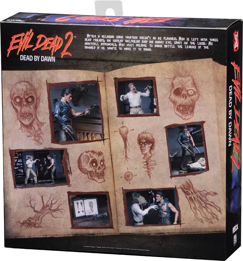 Evil Dead 2 - Dead by Dawn - Neca (Evil Dead) action figure collectible [Barcode 634482419663] - Main Image 4