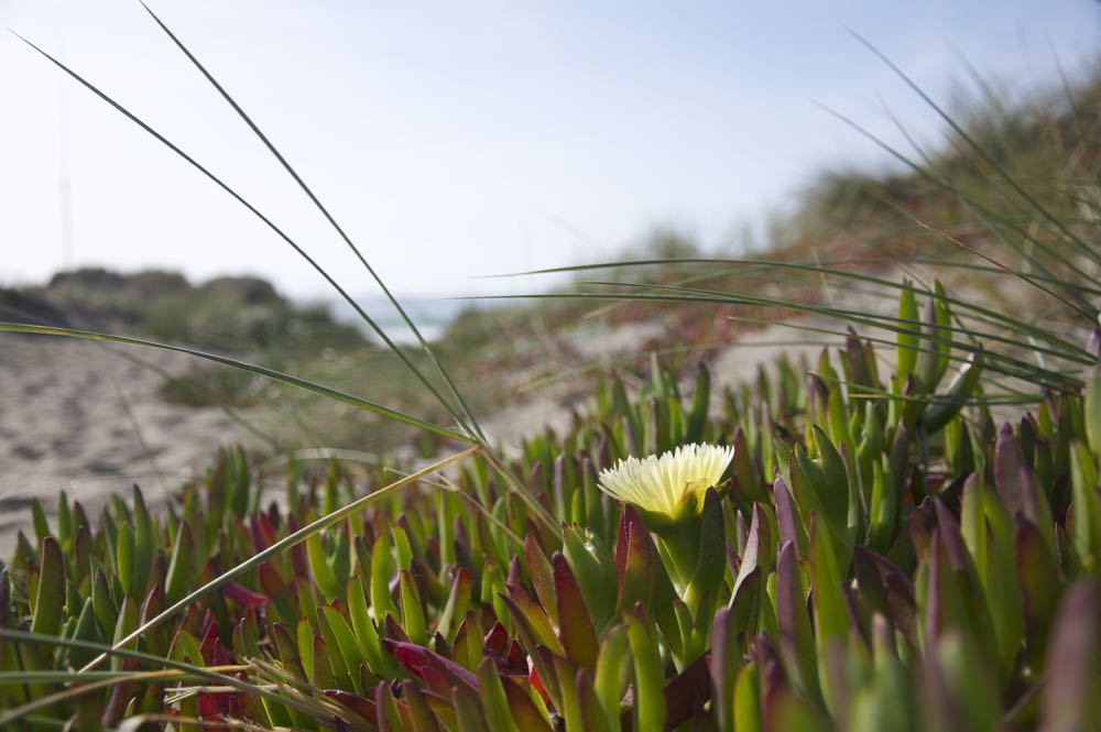 qatest - Disney Hasbro (Super Action Statue) action figure collectible - Main Image 4