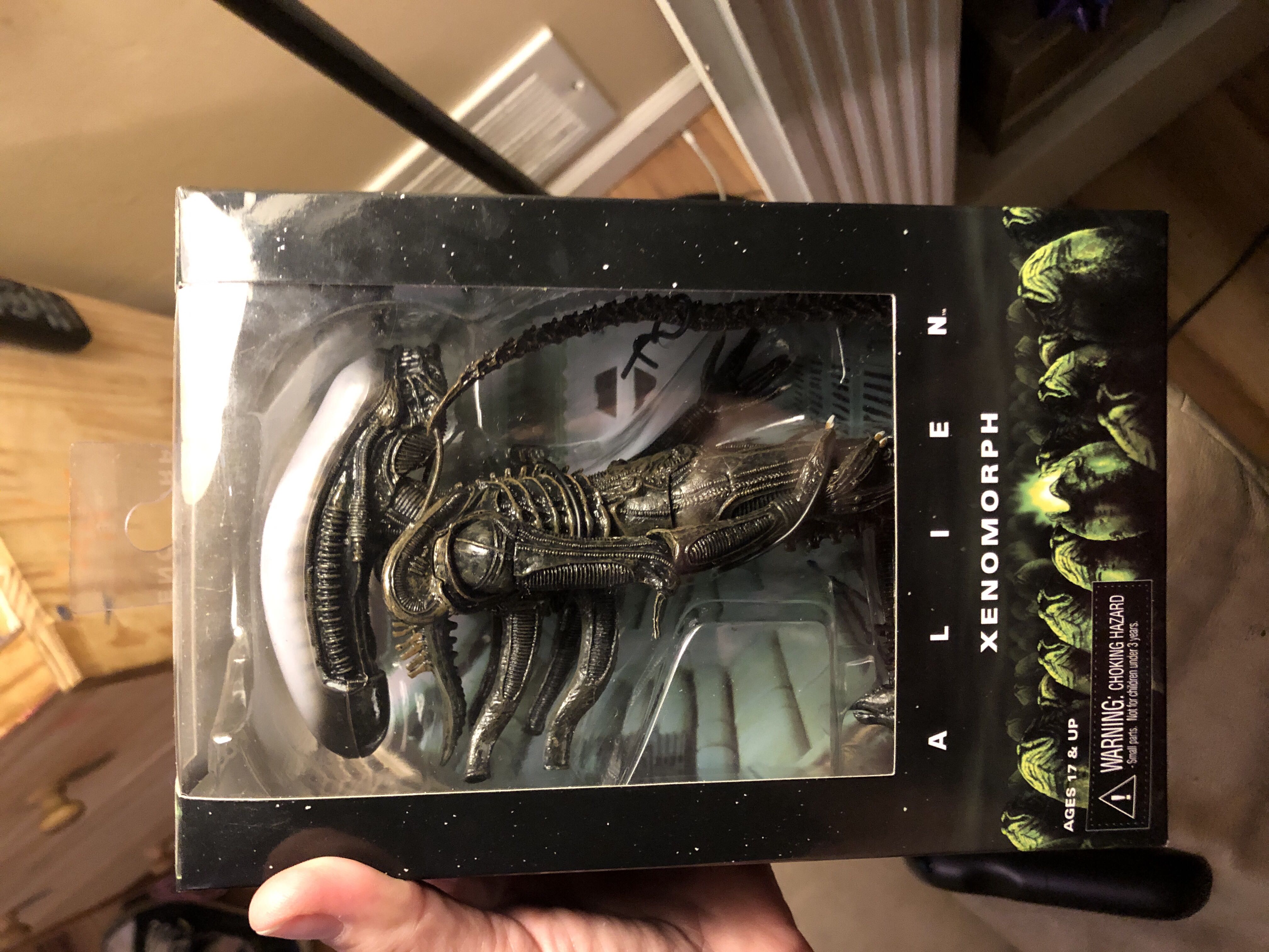 Don’t Starve Willow And Bernie