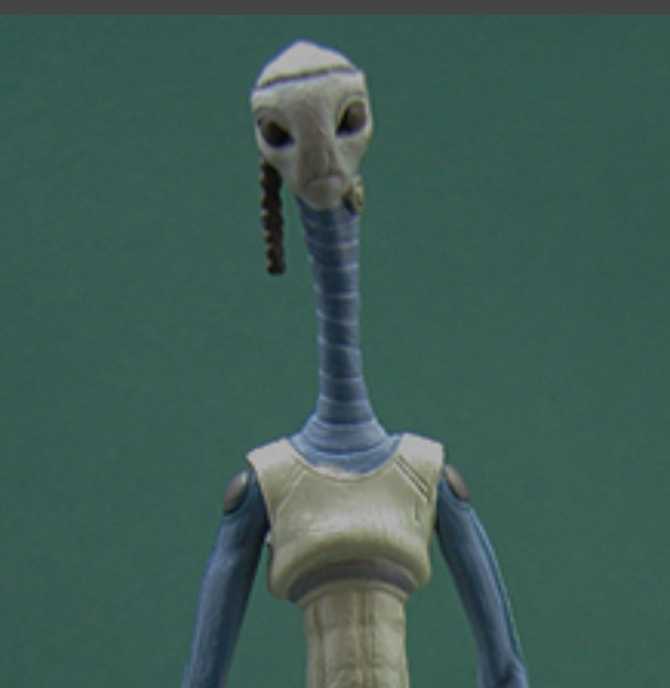 Taun We - Hasbro (Star Wars Saga Collection) action figure collectible [Barcode 076930848227] - Main Image 3