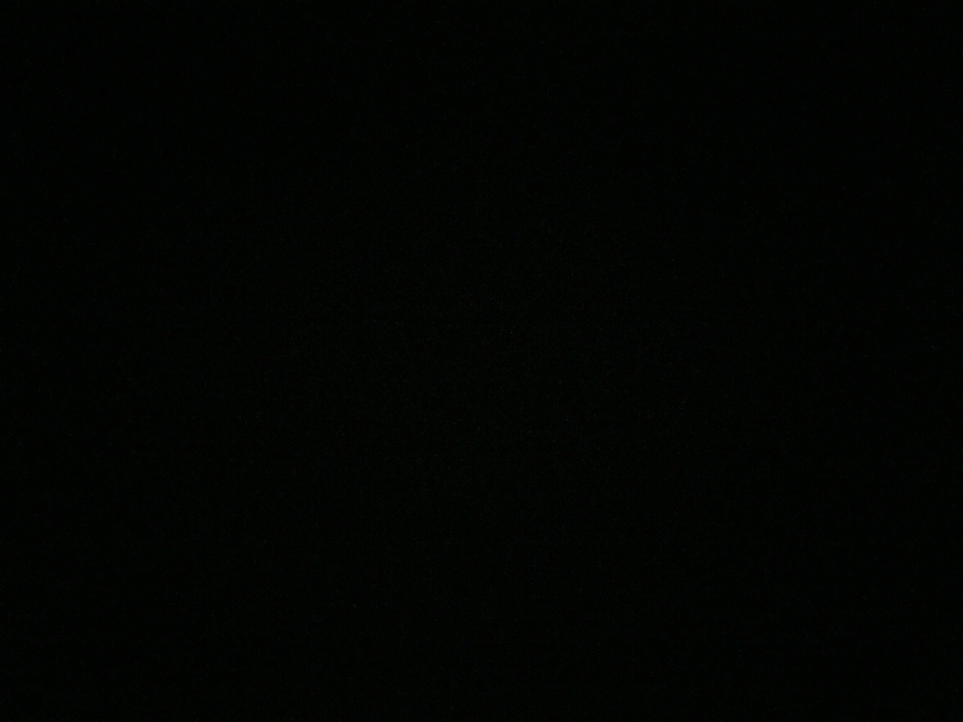 Jason Voorhees <Part 5> Roy