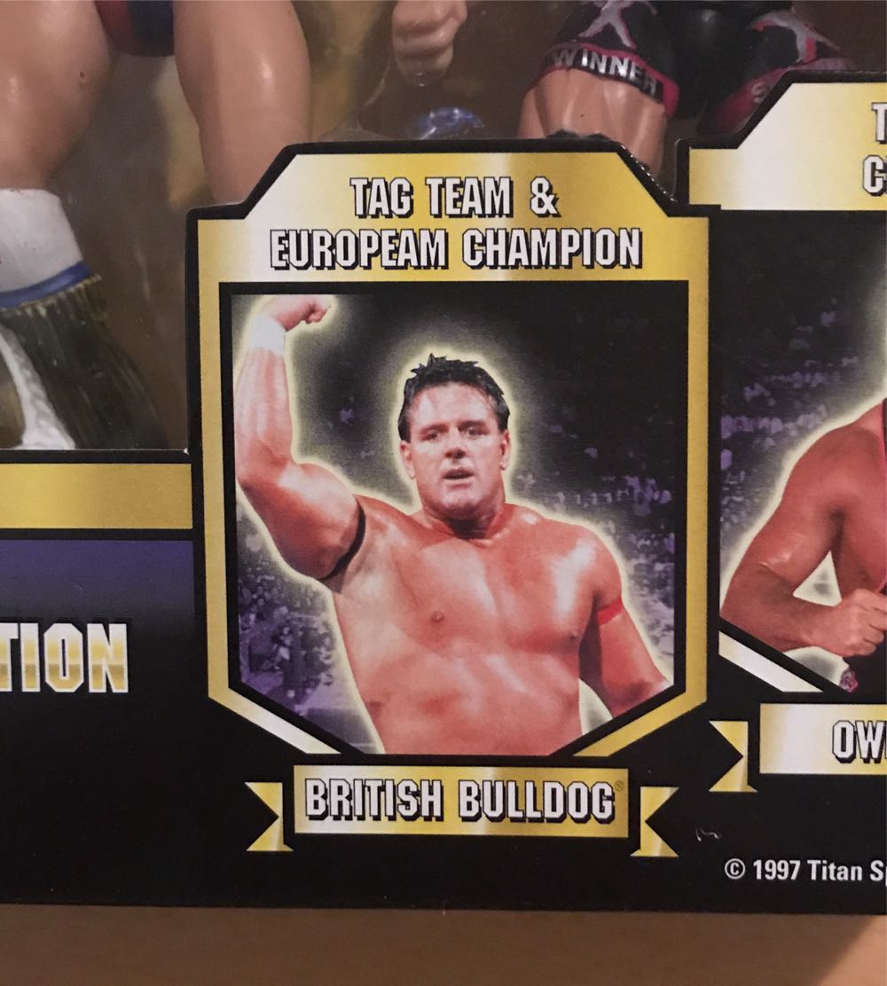 WWF Jakks Pacific BCA Toys ‘R Us Exclusive Championship Title Series Special Edition Collector’s Boxed Set 4 Pack: The Undertaker, Rocky Maivia, British Bulldog, & Owen Hart (“European” Variant) - WWF Jakks Pacific BCA (WWF Jakks Pacific BCA Toys ‘R Us Exclusive Championship Title Series Special Edition Collector’s Boxed Set 4 Pack) action figure collectible [Barcode 039897805085] - Main Image 3