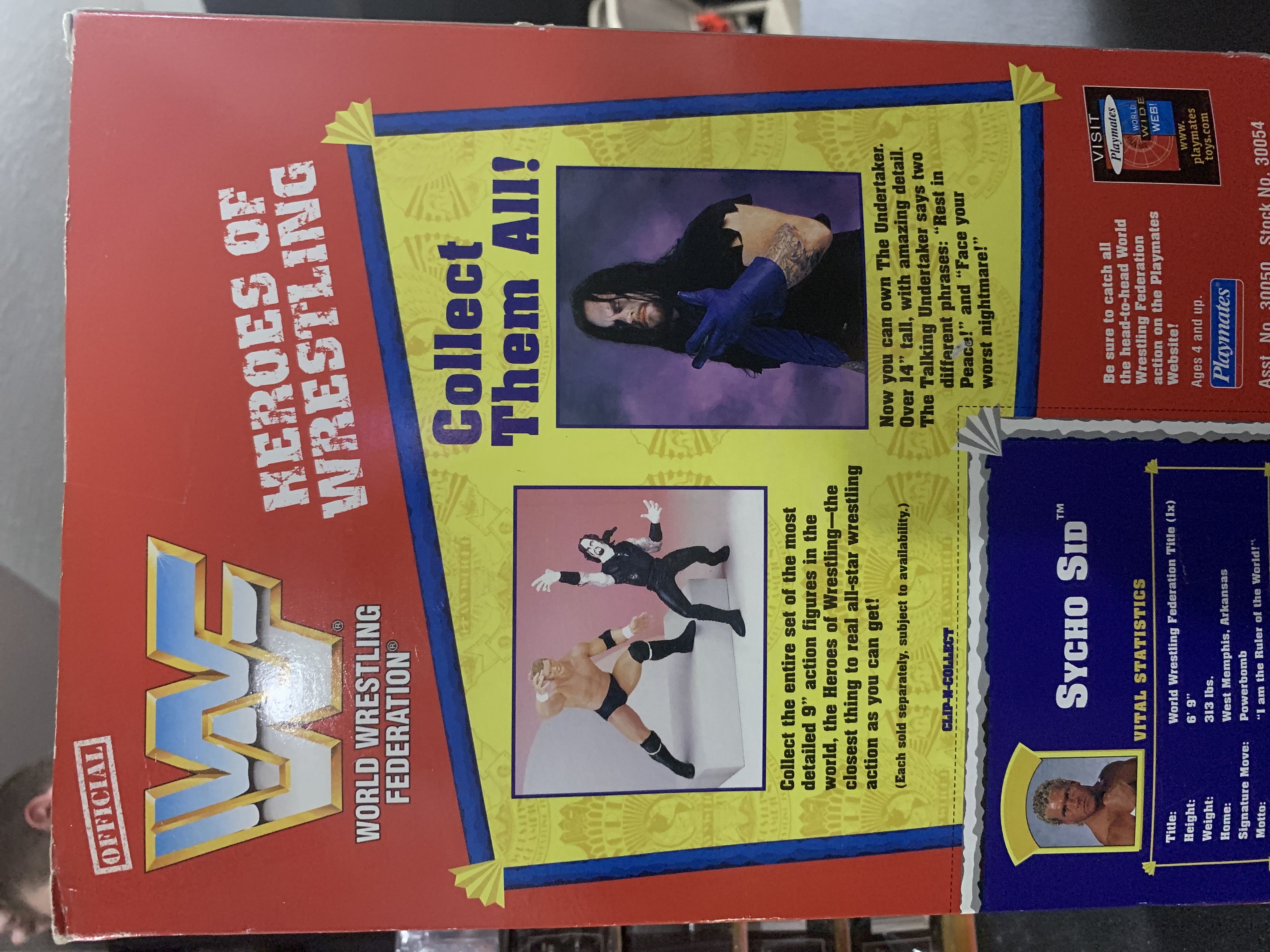 Sycho Sid - Titan Sports (Heroes Of Wrestling) action figure collectible [Barcode 043377300540] - Main Image 2