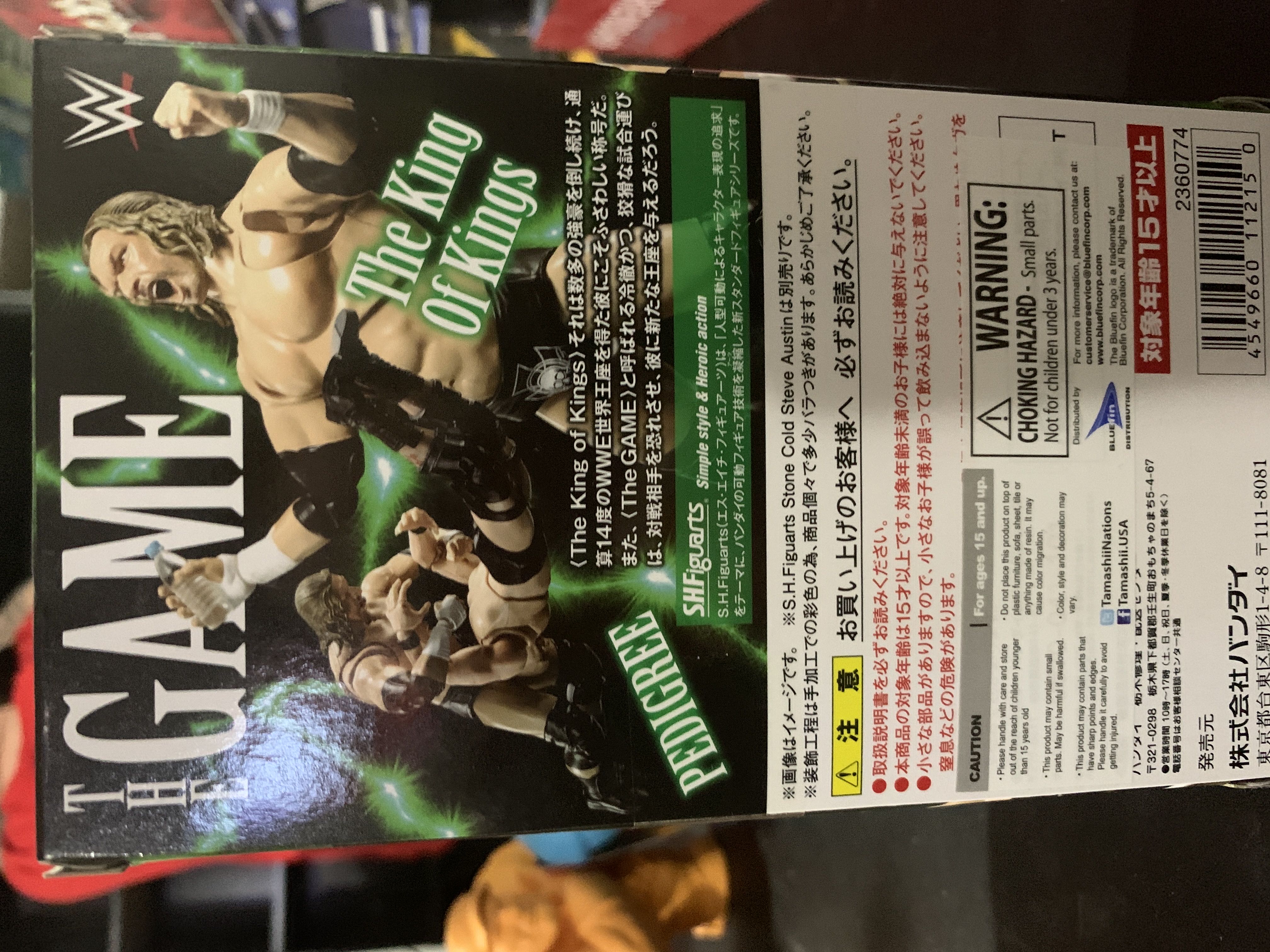 S.H.Figuarts (WWE) - "Triple H” Hunter Hearst Helmsley - Bandai America (S.H.Figuarts WWE Superstar Series) action figure collectible [Barcode 4549660112150] - Main Image 2