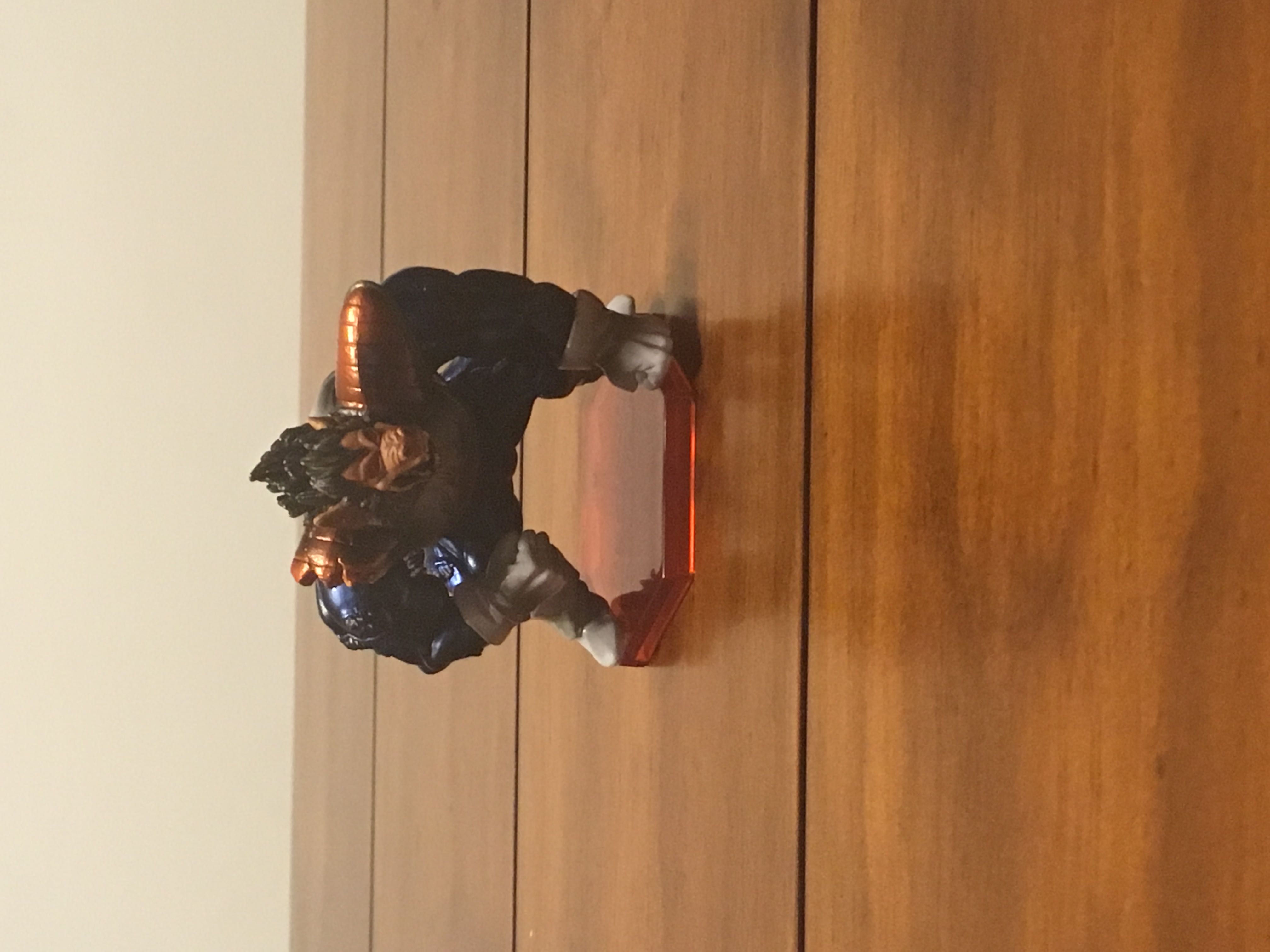 JAKE the Mallard Duck