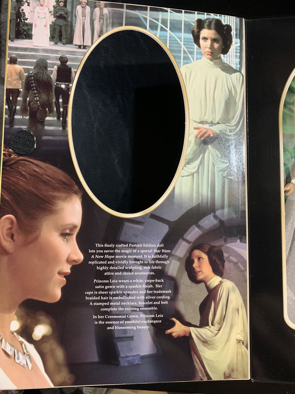 Princess Leia (Ceremonial Gown) - Hasbro (Star Wars: Collector Series) action figure collectible [Barcode 076281617725] - Main Image 3