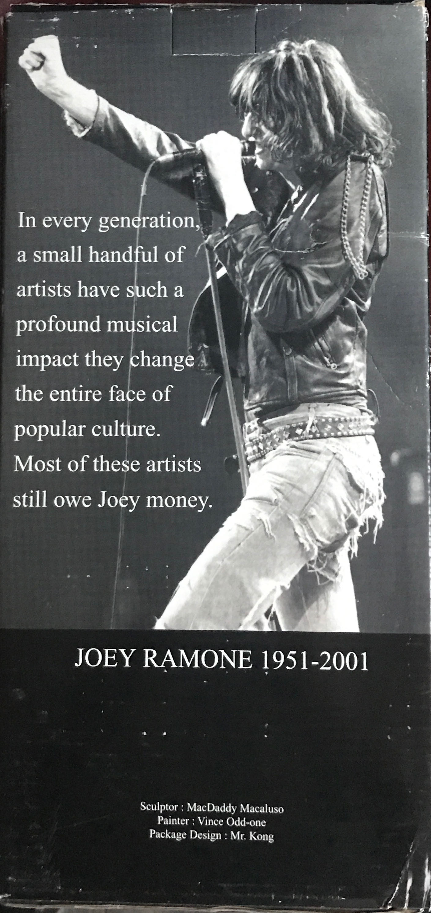 Joey Ramone - The Stronghold Group action figure collectible [Barcode 831667000436] - Main Image 2