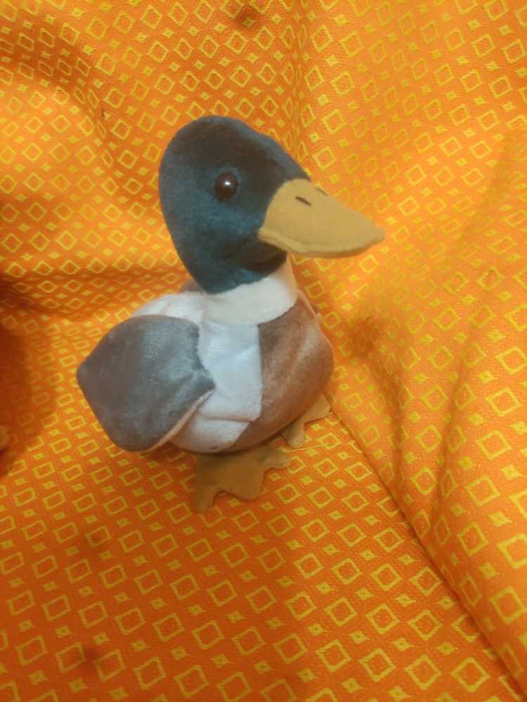 JAKE the Mallard Duck  action figure collectible [Barcode 008421041992] - Main Image 2
