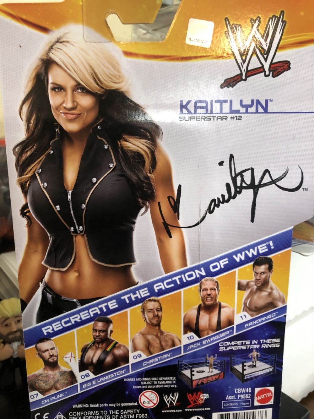 Kaitlyn - Mattel Wwe (Wrestling (WWE)) action figure collectible [Barcode 887961015676] - Main Image 2